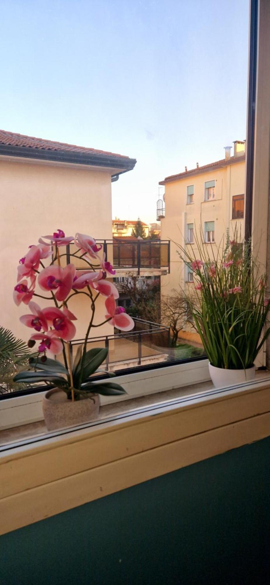 Hotel Tito Mestre Extérieur photo